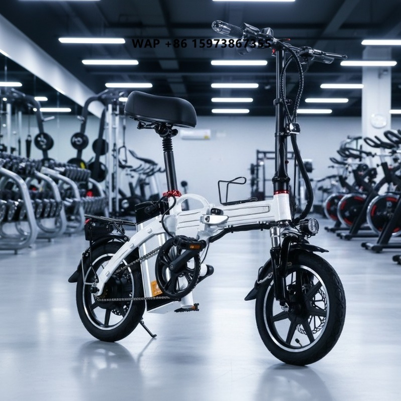 Mini Folding Electric Bike Fac - Commuter Biking incelemesi ve fiyatı