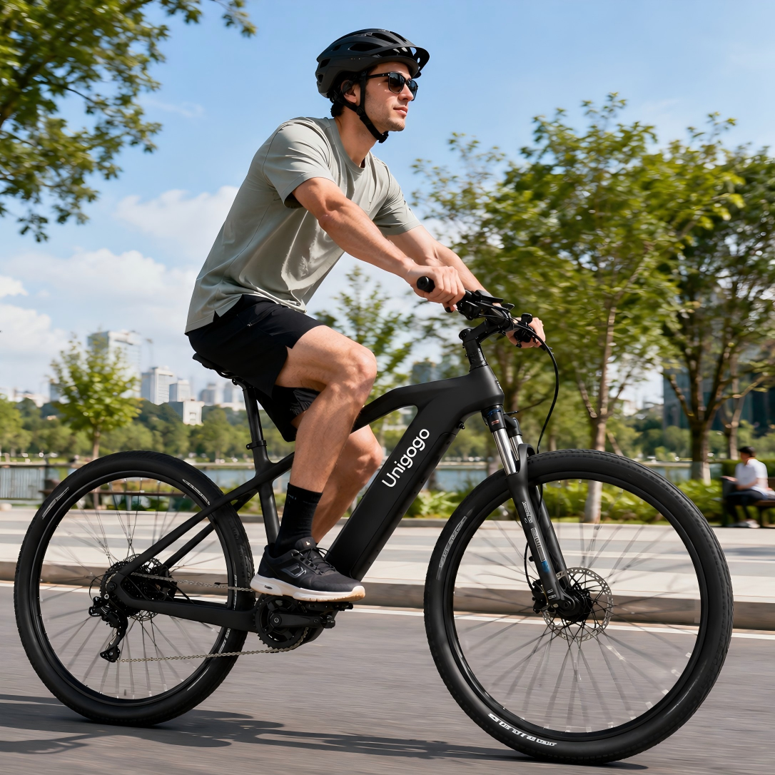 M9 OEM Off-Road Electric Bicyc - Commuter Biking incelemesi ve fiyatı